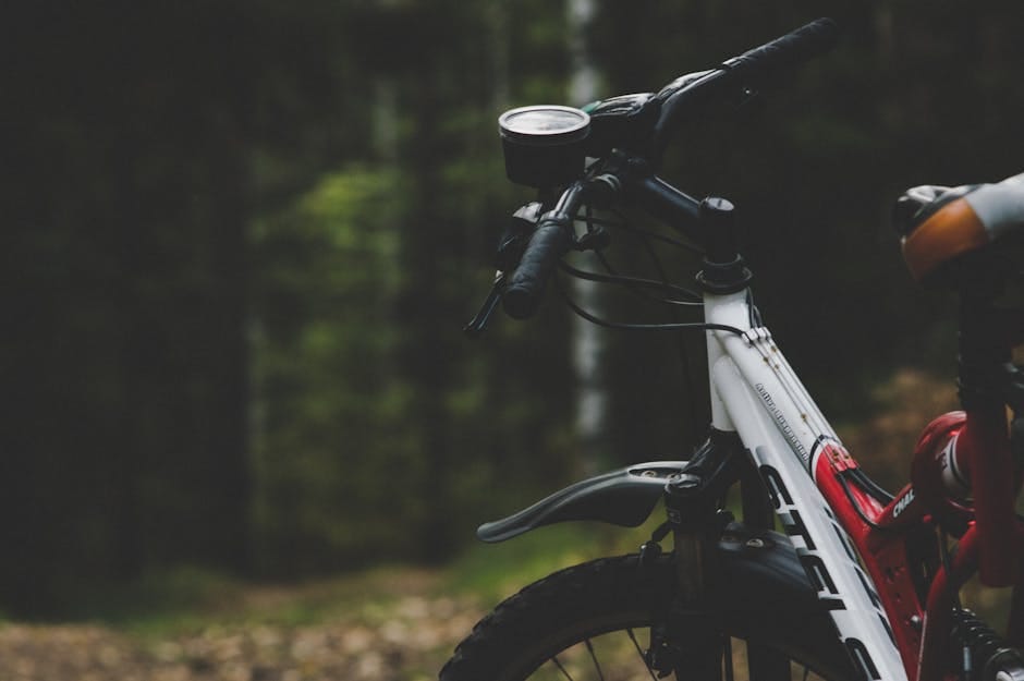 The Best Mountain Bikes for Trail Riding in 2026: Tested, Not Just Listed