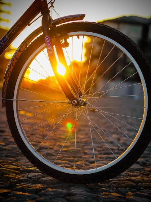 Tire Pressure for MTB: Tubeless vs Insert vs Inner Tube