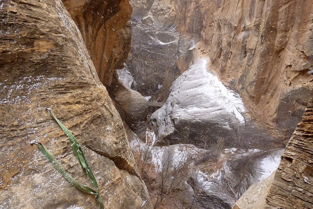 Canyoneering: How to Drop Into a Slot Canyon Without Getting in Over Your Head